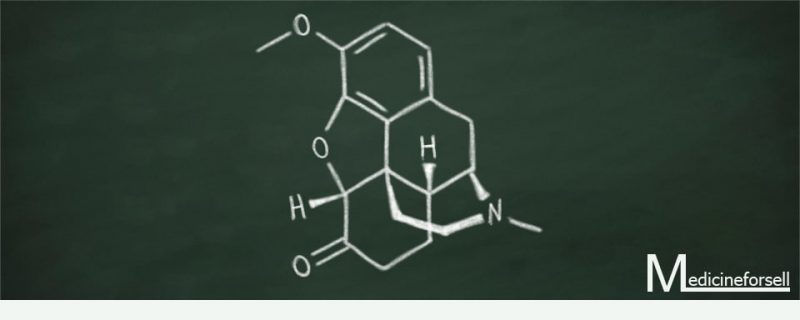 هيدروكودون (Hydrocodone)