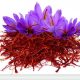 الزعفران (Crocus sativus) | استهلاك الزعفران | آلية تأثير الزعفران | معلومات طبية